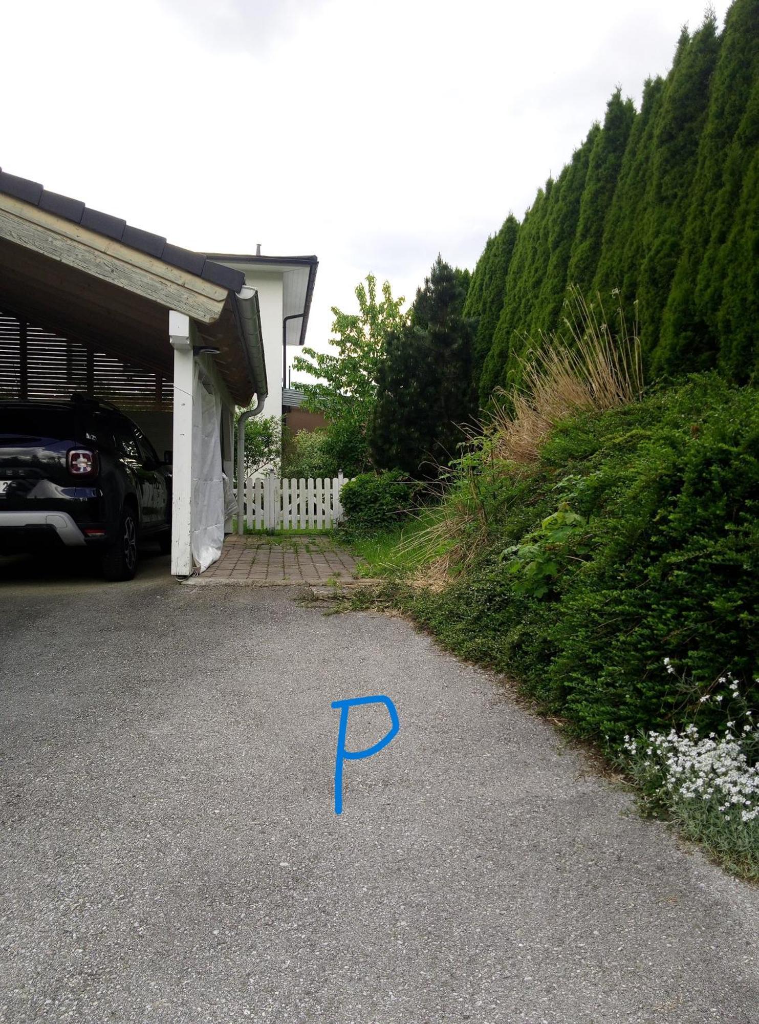 Apartamento Feapp Parken & Pennen Mondsee Exterior foto
